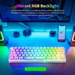 Havit KB877L Clavier de jeu mécanique à membrane - 61 touches rétroéclairées RVB avec touches multimédia, USB-C filaire transparent - Image 3 - INFINITY WEEB