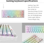 Havit KB877L Clavier de jeu mécanique à membrane - 61 touches rétroéclairées RVB avec touches multimédia, USB-C filaire transparent - Image 4 - INFINITY WEEB
